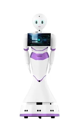 Nhu cầu thị trường và triển vọng tương lai của robot đồng hành